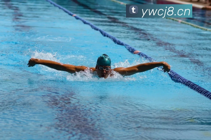 多媒体互动体验